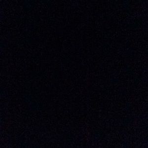 Meet your Posher, Patty